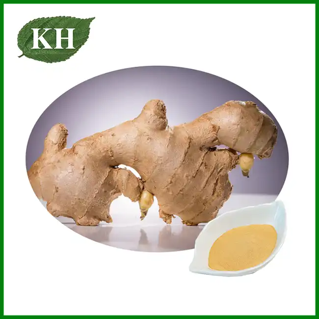 Ginger Extract Powder